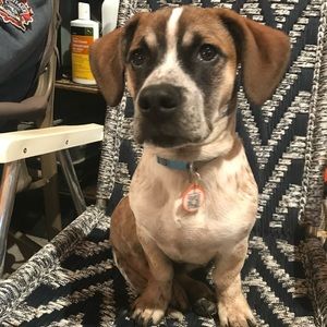 Meet your Posher, Darrell